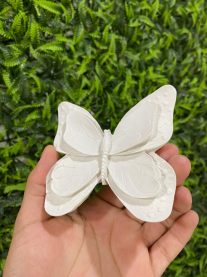 WhatsApp Image 2026-01-27 at 10.05.38